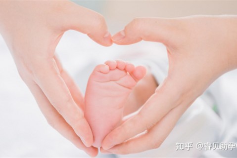 http://taizhou.51dzb.net/post/188.html|台州新闻中心